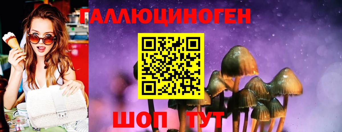 Псилоцибиновые грибы GOLDEN TEACHER  сколько стоит  Полысаево  Вход с VPN 